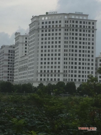Times Pro - BĐS uy tín hàng đầu