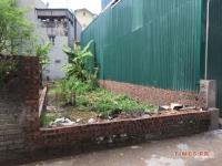 Times Pro - BĐS uy tín hàng đầu