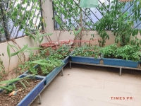 Times Pro - BĐS uy tín hàng đầu