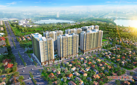 BÁN ĐẤT BẮC BIÊN NGỌC THỤY THỜI ĐẠI SỐ