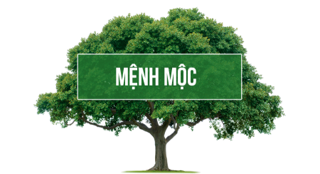 Thiết kế nhà phong thủy người mệnh mộc