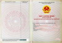 Times Pro - BĐS uy tín hàng đầu
