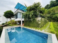 Times Pro - BĐS uy tín hàng đầu