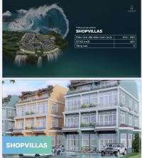 Times Pro - BĐS uy tín hàng đầu