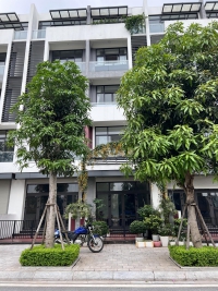 Times Pro - BĐS uy tín hàng đầu