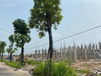 Times Pro - BĐS uy tín hàng đầu