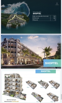 Times Pro - BĐS uy tín hàng đầu