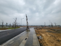 Times Pro - BĐS uy tín hàng đầu