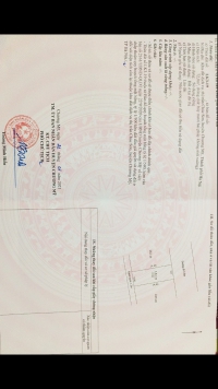 Times Pro - BĐS uy tín hàng đầu
