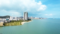 Times Pro - BĐS uy tín hàng đầu