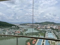 Times Pro - BĐS uy tín hàng đầu