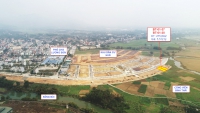 Times Pro - BĐS uy tín hàng đầu