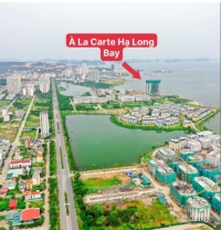 Times Pro - BĐS uy tín hàng đầu
