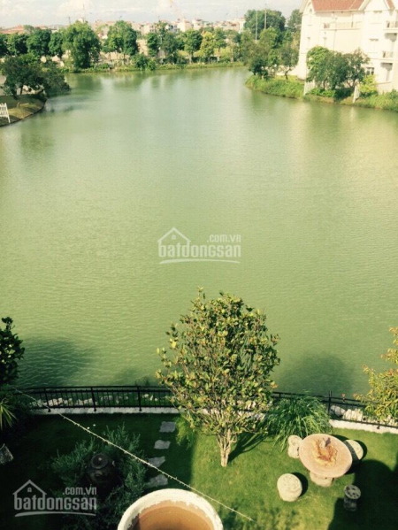 TIN CHUẨN BÁN BIỆT THỰ HOA SỮA GẦN 300M2, 58 TỶ, NỘI THẤT ĐẸP VỀ Ở NGAY, VIEW ĐƯỜNG LỚN, SÔNG RỘNG