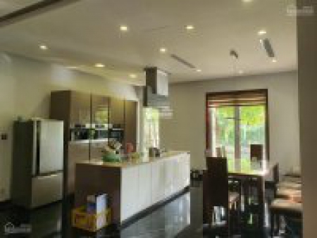 Bán BT song lập Tulip, 225m2, HT nội thất sang trọng, giáp vườn hoa, sân chơi, hồ điều hòa