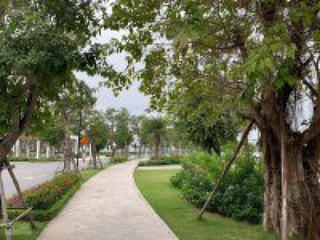 Bán nhanh căn BT song lập Hoa Phượng 200m2, hướng Tây, full nội thất