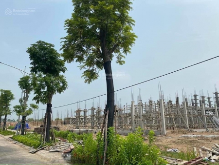 Bán biệt thự căn góc 294m2, giá hơn 15 tỷ