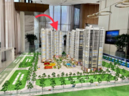 Cơ hội đầu tư cực tốt cho nhà đẩu tư Meloly Linh Đàm