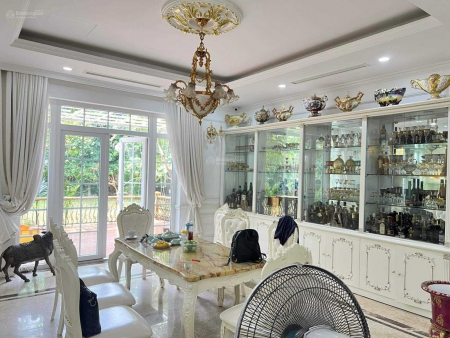 Bán biệt thự đơn lập Anh Đào 400m²full nội thất có thang máy, view sông sau nhà rộng