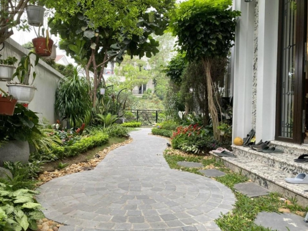 Bán gấp đơn lập Bằng Lăng 520m2, giá 187tr/m2, nhà hoàn thiện, đường thông thoáng.