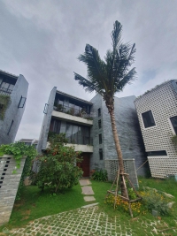 Times Pro - BĐS uy tín hàng đầu