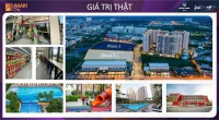 Times Pro - BĐS uy tín hàng đầu