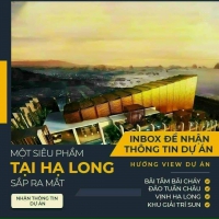 Times Pro - BĐS uy tín hàng đầu