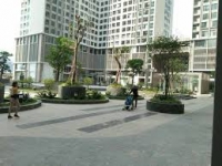 Times Pro - BĐS uy tín hàng đầu