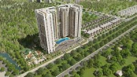 Times Pro - BĐS uy tín hàng đầu