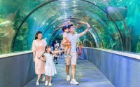 Times Pro - BĐS uy tín hàng đầu