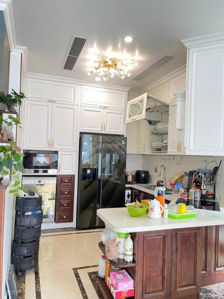 BÁN BIỆT THỰ ĐƠN LẬP, SONG LẬP, LIỀN KỀ, SHOPHOUSE, VINHOMES OCEAN PARK, GIA LÂM