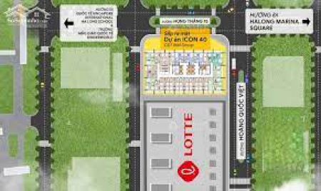 ICON40 Hạ Long chính thức ra hàng - thông tin CĐT