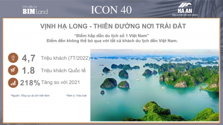 1,5 tỷ sở hữu ngay chung cư view biển - liền kề TTTM Lotte. Ck - 4%, HLTS 0% 18 tháng CDT BIM Group