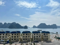 Times Pro - BĐS uy tín hàng đầu