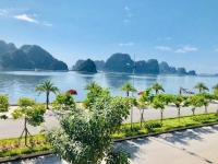 Times Pro - BĐS uy tín hàng đầu