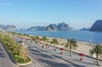 Times Pro - BĐS uy tín hàng đầu