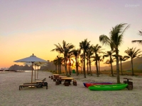 Times Pro - BĐS uy tín hàng đầu