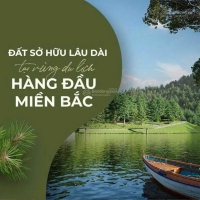 Times Pro - BĐS uy tín hàng đầu