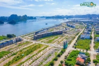 Times Pro - BĐS uy tín hàng đầu