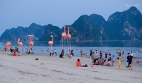 Times Pro - BĐS uy tín hàng đầu