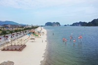 Times Pro - BĐS uy tín hàng đầu