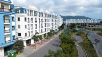 Times Pro - BĐS uy tín hàng đầu