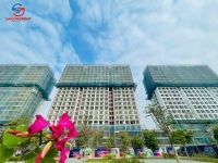 Times Pro - BĐS uy tín hàng đầu