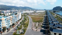 Times Pro - BĐS uy tín hàng đầu