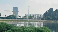 Times Pro - BĐS uy tín hàng đầu