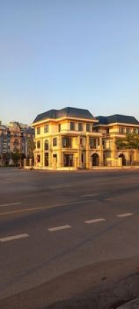 Times Pro - BĐS uy tín hàng đầu