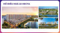 Times Pro - BĐS uy tín hàng đầu