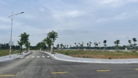 Times Pro - BĐS uy tín hàng đầu