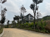 Times Pro - BĐS uy tín hàng đầu