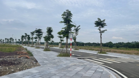 12f370410ec2cc9c95d3-5.jpg